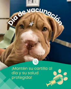 Mesa de Trabajo Posta Oct-Nov-Dic.zip - 12