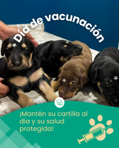 Mesa de Trabajo Posta Oct-Nov-Dic.zip - 13