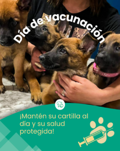 Mesa de Trabajo Posta Oct-Nov-Dic.zip - 14