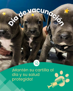 Mesa de Trabajo Posta Oct-Nov-Dic.zip - 15