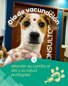 Mesa de Trabajo Posta Oct-Nov-Dic.zip - 16