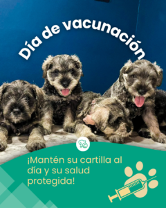 Mesa de Trabajo Posta Oct-Nov-Dic.zip - 17