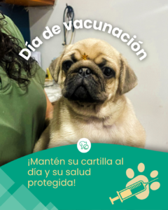 Mesa de Trabajo Posta Oct-Nov-Dic.zip - 8