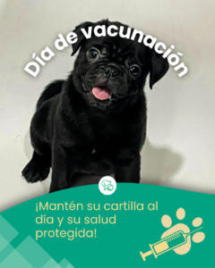 Mesa de Trabajo Posta Oct-Nov-Dic.zip - 9